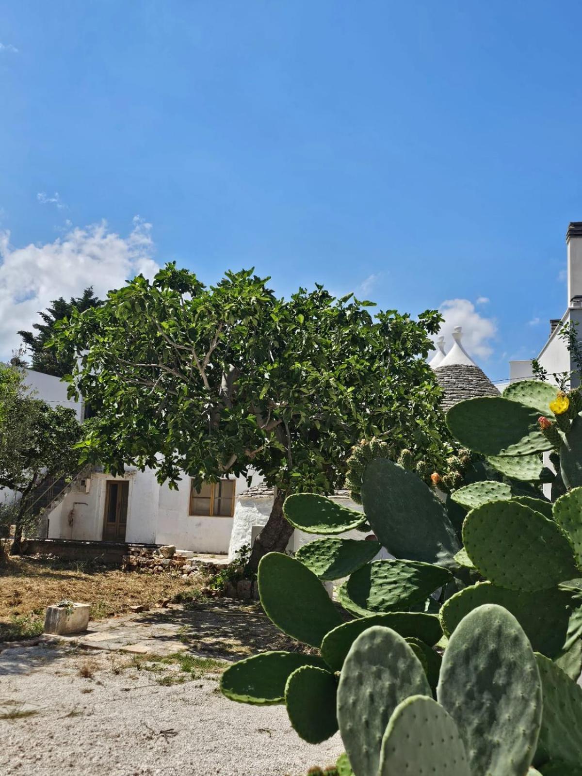 River Trulli Oasi Di Pace In Sito Unesco Alberobello Exterior photo