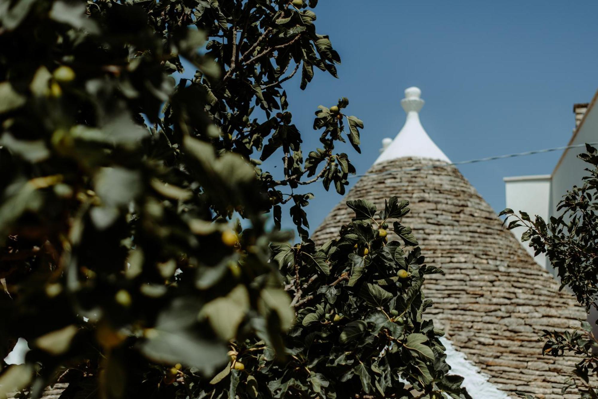 River Trulli Oasi Di Pace In Sito Unesco Alberobello Exterior photo